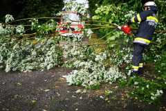 IMG-20210625-WA0018