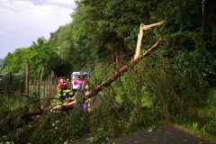 IMG-20210625-WA0022