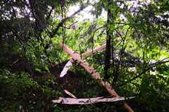 IMG-20210625-WA0024