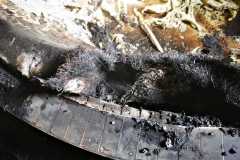 IMG-20220218-WA0012