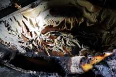 IMG-20220218-WA0014