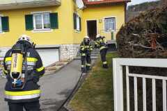 IMG-20220218-WA0052
