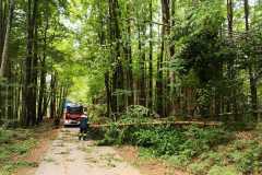 IMG-20220521-WA0003