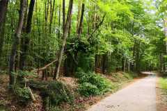 IMG-20220521-WA0005