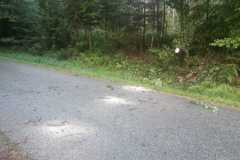 IMG-20220724-WA0001