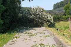 IMG-20220724-WA0002