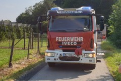 IMG-20220724-WA0003