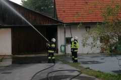 IMG-20210925-WA0013