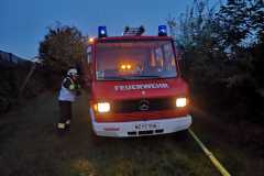 IMG-20210925-WA0018
