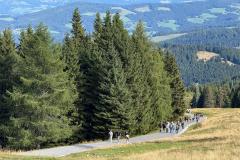 IMG-20250906-WA0038