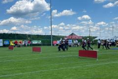 IMG-20250703-WA0018