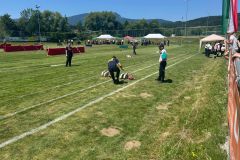 IMG-20250626-WA0029