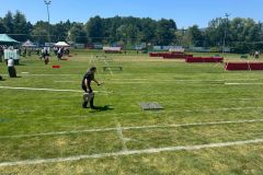IMG-20250626-WA0030