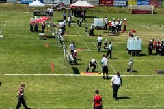 IMG-20250626-WA0035