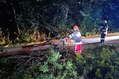 IMG-20240915-WA0013