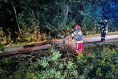 IMG-20240915-WA0014