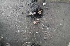 IMG-20210403-WA0009