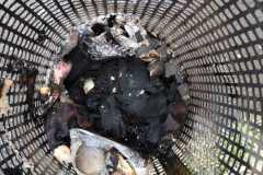 IMG-20210403-WA0010