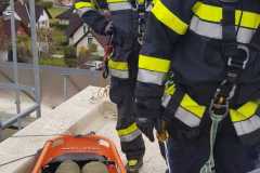 IMG-20231111-WA0011