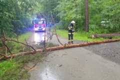 IMG-20220525-WA0010