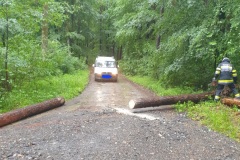IMG-20220525-WA0011