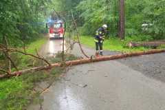 IMG-20220525-WA0014