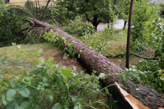 IMG-20250626-WA0020