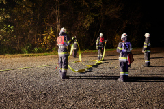 sff_00312025-11-07-BDLP-2025