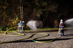 sff_00352025-11-07-BDLP-2025