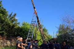 IMG-20260501-WA0048