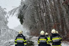 WhatsApp-Image-2026-02-20-at-12.35.55-1