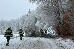 WhatsApp-Image-2026-02-20-at-12.35.55