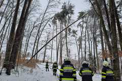 WhatsApp-Image-2026-02-20-at-14.56.21